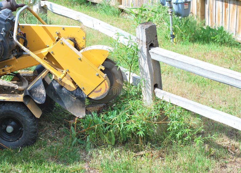 Tree stump removed.