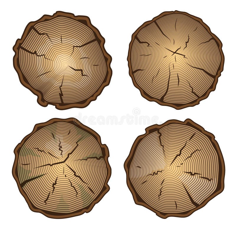 Tree stump, round cut with annual rings stock illustration Tree stump, round cut with annual rings stock illustration