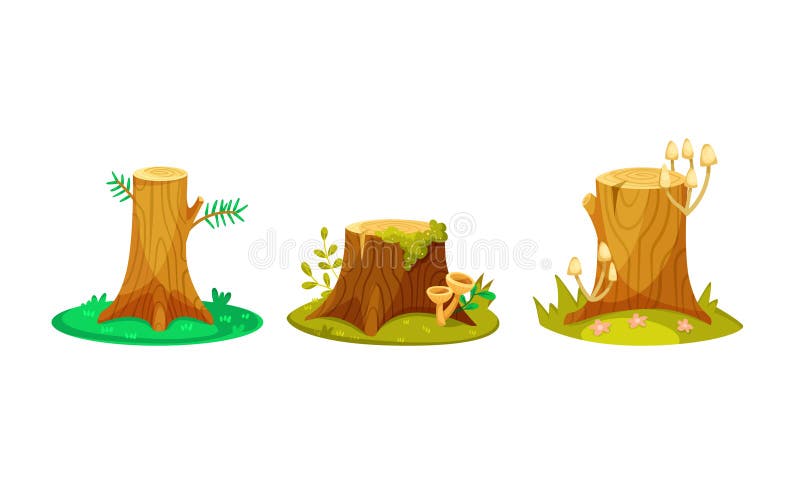 Tree Stumps in Various Stages of Natures Continuous and Beautiful Reclamation Process vector illustration