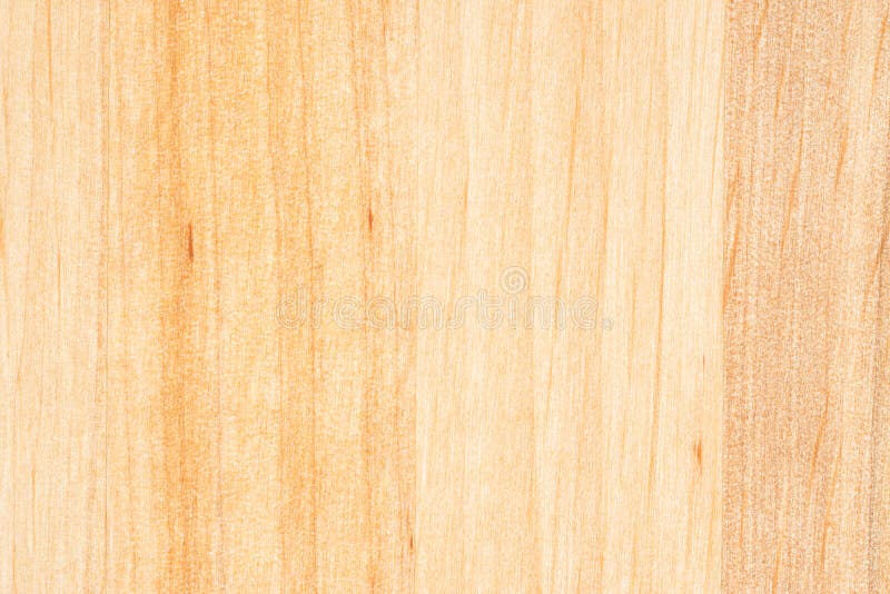 Tree Texture. Timber Light Natural Pattern. Wood Grain Background Stock