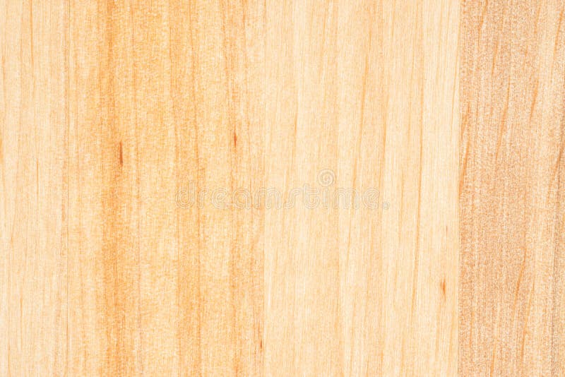 Tree texture. Timber light natural pattern. Wood grain background