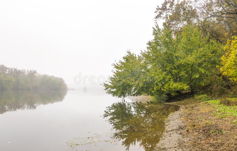 Tree touch the waters of the Potomac River stock photo