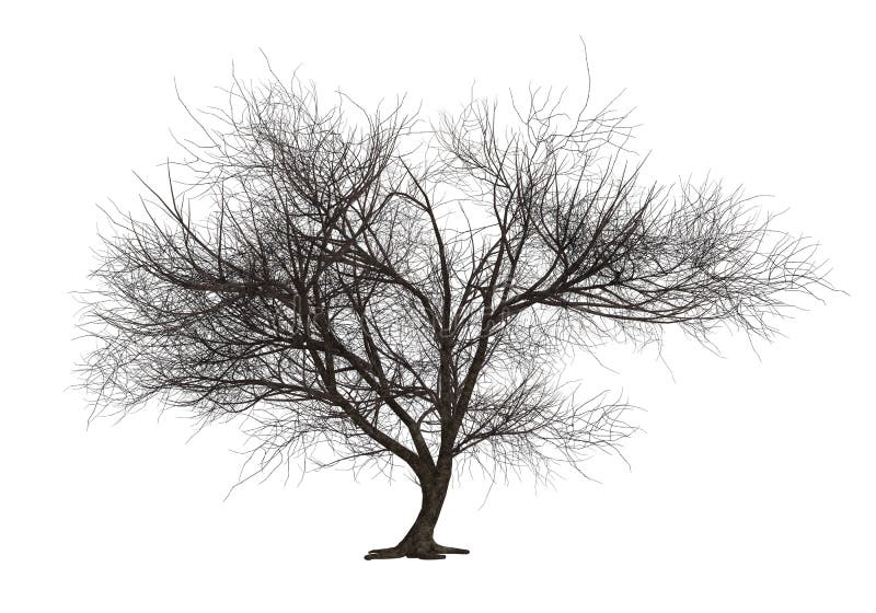 Download Tree with Large Trunk and Spreading Branches on Black Background  PNG Online - Creative Fabrica