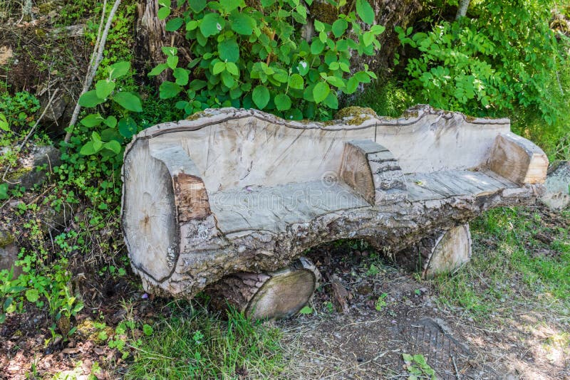 Tree Trunk Turned Into Seats Stock Image Image Of Hour Bench
