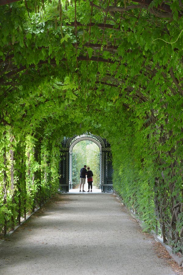 Tree tunnel walkway