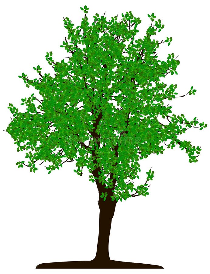 Tree (vector)