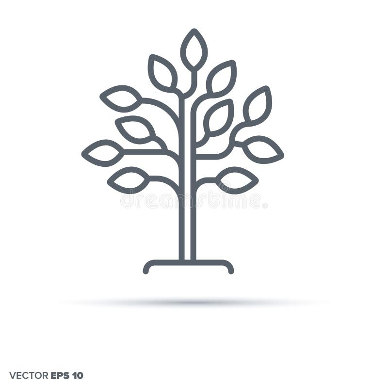 Tree vector line icon. royalty free illustration