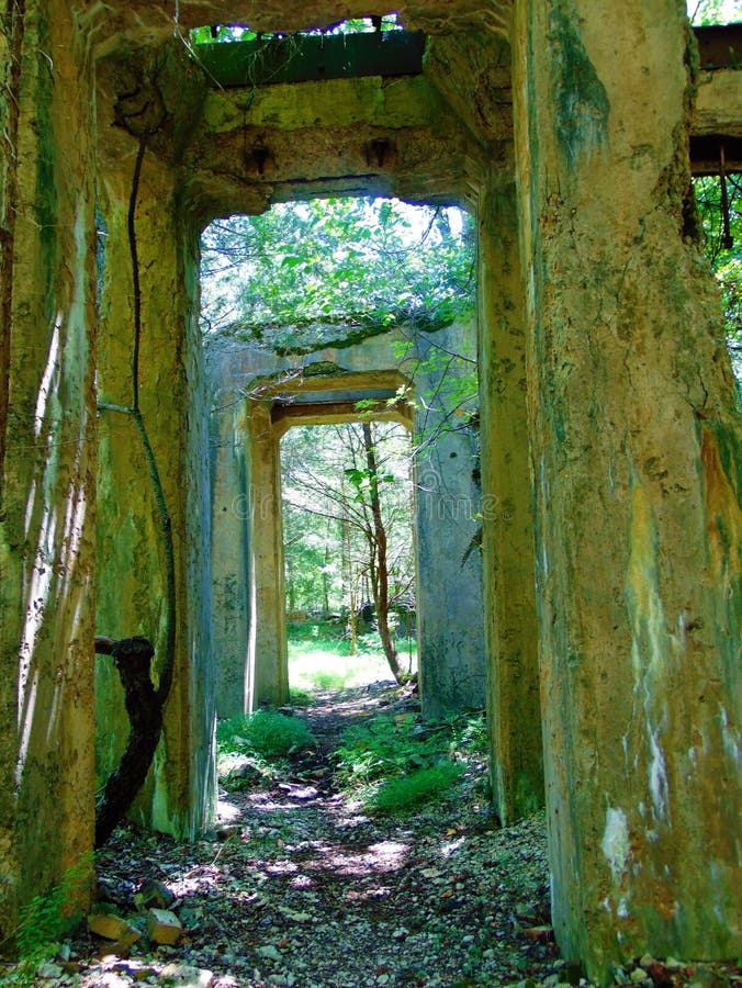 Tree Visible Through Abandoned Ruin Arches in the Woods