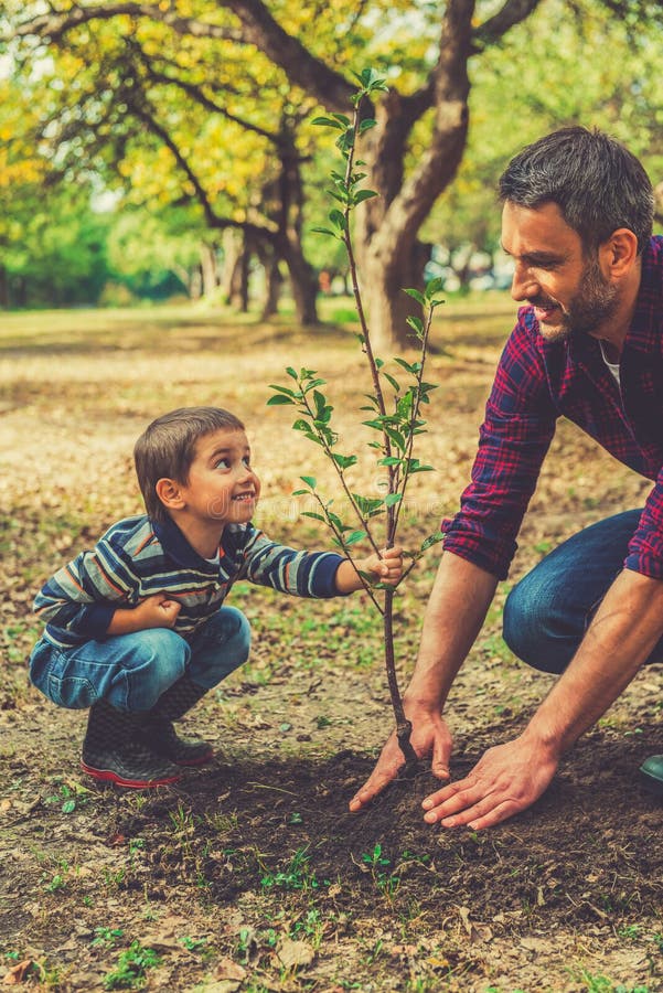 This tree will grow with you!