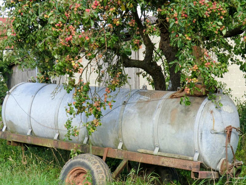 Tree3 στοκ εικόνα Tree3 στοκ εικόνα
