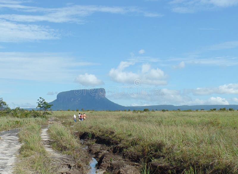 Treeking dans mamie Sabana photo stock Treeking dans mamie Sabana photo stock
