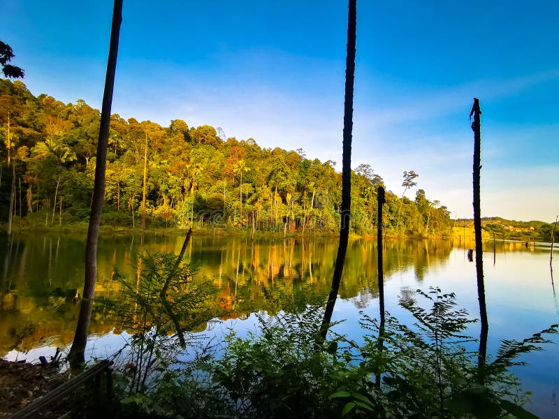 Treeline reflection on pond in Bukit Sapu Tangan hiking trail Shah Alam Selangor Malaysia