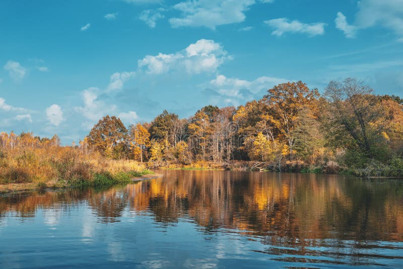 Trees on the Banks of a Beautiful Autumn River Stock Photo - Image of ...