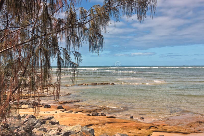 Trees At Beach. Beautiful beach view at Caloundra, Queensland, Australia. You can see a freight ship in the distance. It is on it's way to Brisbane stock photo Trees At Beach. Beautiful beach view at Caloundra, Queensland, Australia. You can see a freight ship in the distance. It is on it's way to Brisbane stock photo