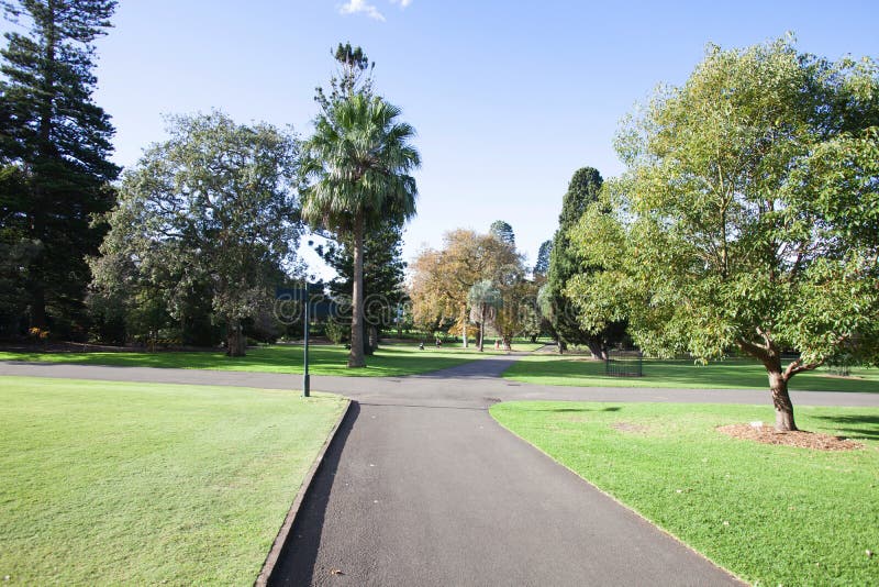 Trees at Botanical Garden, Sydney, Australia Stock Image Image of