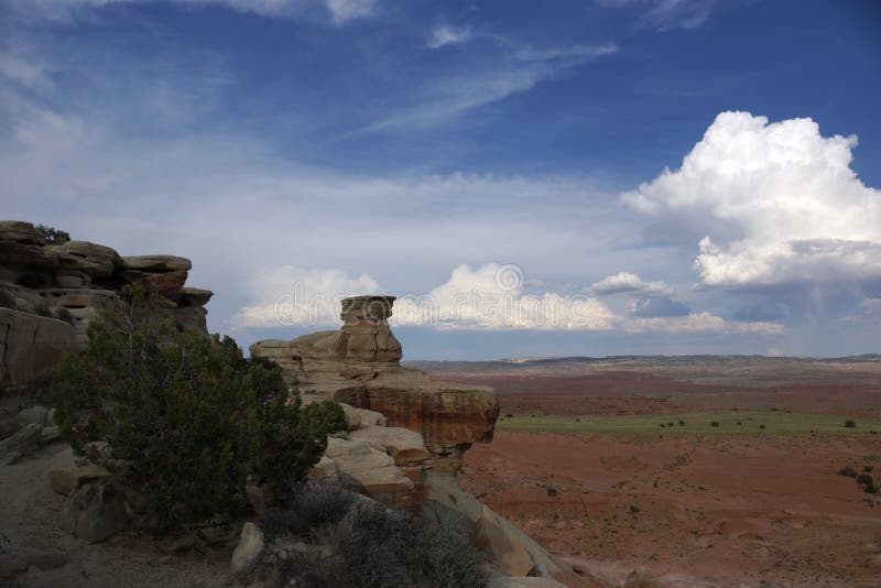 Trees and bushes on high cliff on the San Rafael Swell with a re