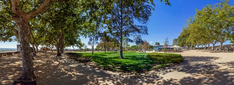 Trees casting fresh shade on the ground during summer in the Portas do Sol Garden