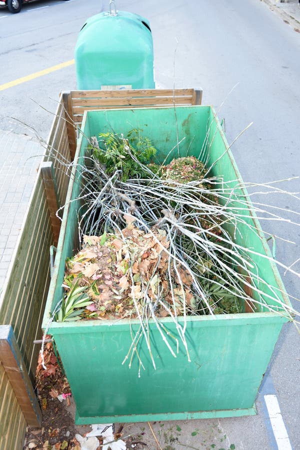 Trees in a Container for Recycling Stock Image Image of latched