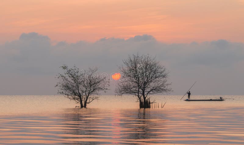 Trees and fisherman in the lake with beautiful sunrise and sky. royalty free stock image Trees and fisherman in the lake with beautiful sunrise and sky. royalty free stock image