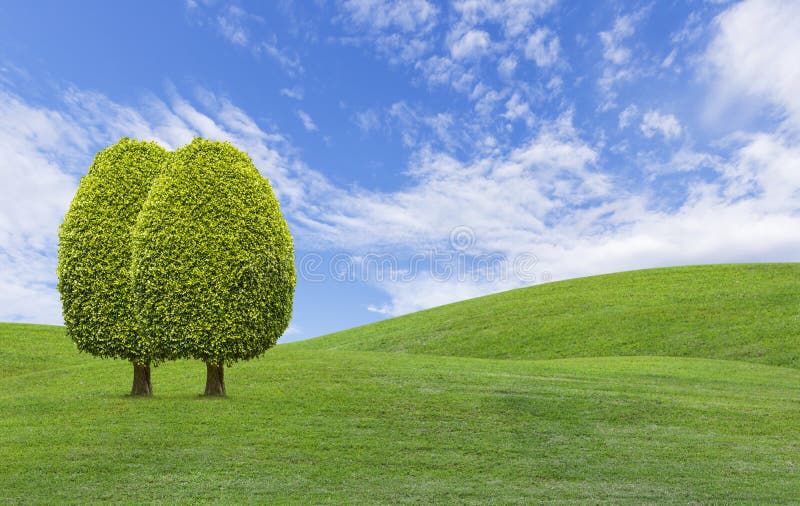 Trees on green grass hill