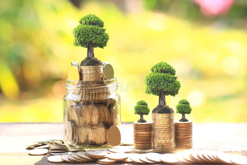 Trees growing on coins money and glass bottle on green background, investment and business concept