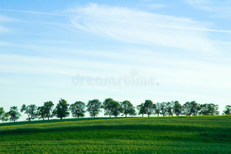 Línea de árboles sobre el de verde.