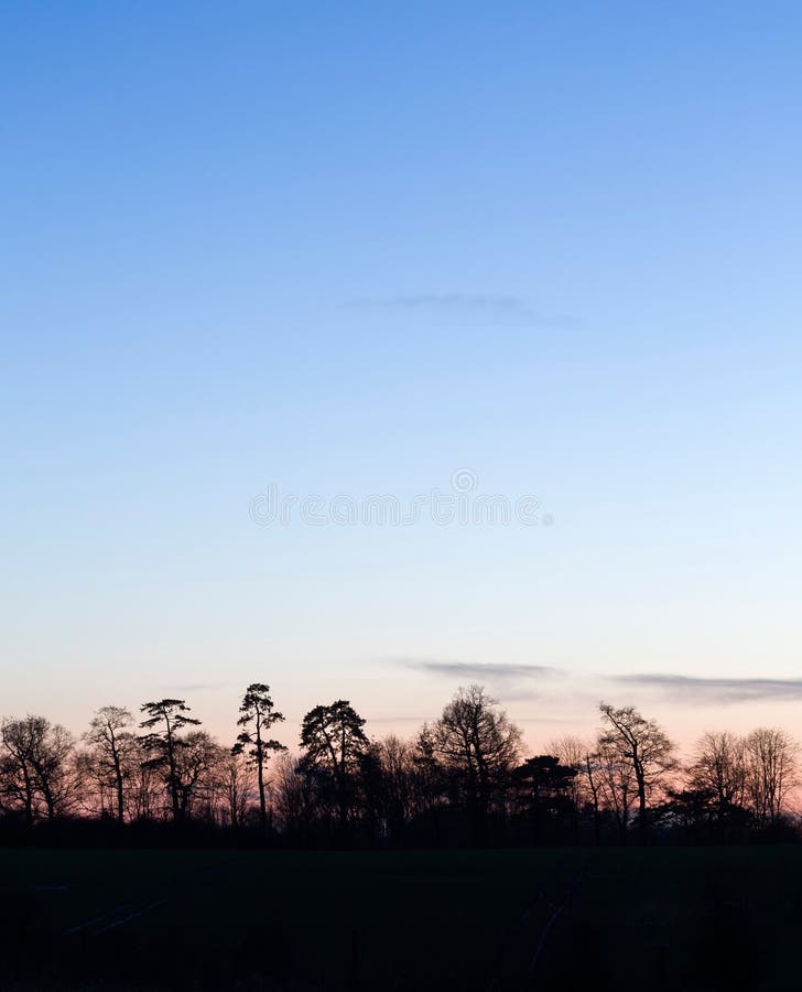 Trees on horizon with copyspace, UK. Line of trees on horizon in English countryside landscape at sunset in winter. Buckinghamshire, UK stock photography Trees on horizon with copyspace, UK. Line of trees on horizon in English countryside landscape at sunset in winter. Buckinghamshire, UK stock photography