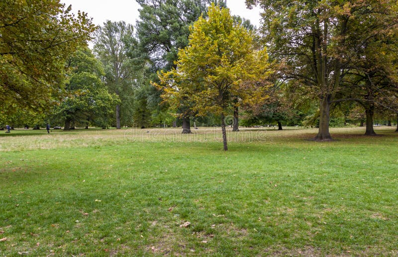 Trees in Hyde park stock photo. Image of landscape, green 166264674