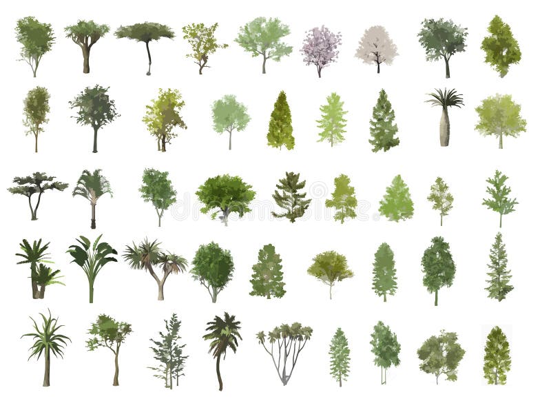 Trees illustration stock illustration