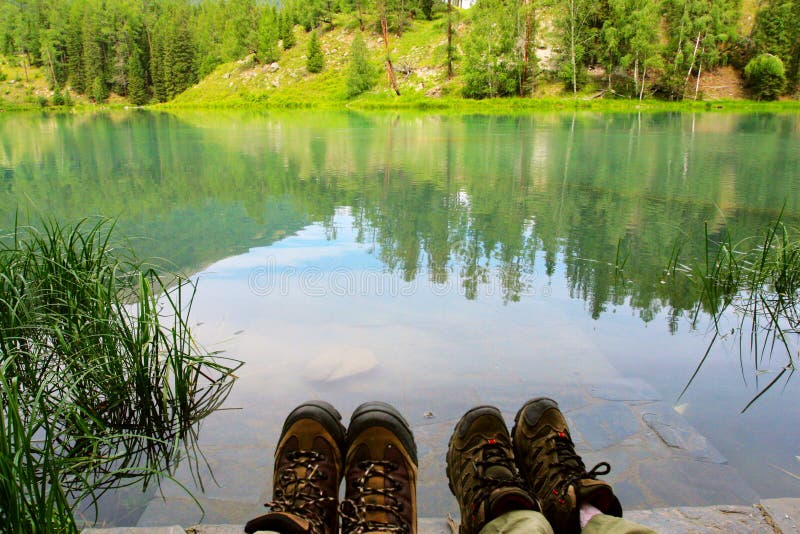 Trees and lake