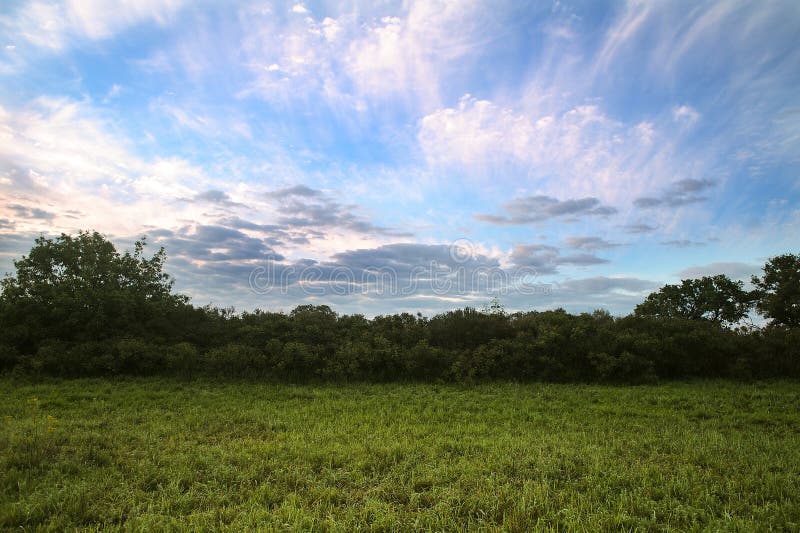 Trees in the meadow at dawn with clouds.