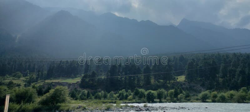 Trees and Nature images stock photography