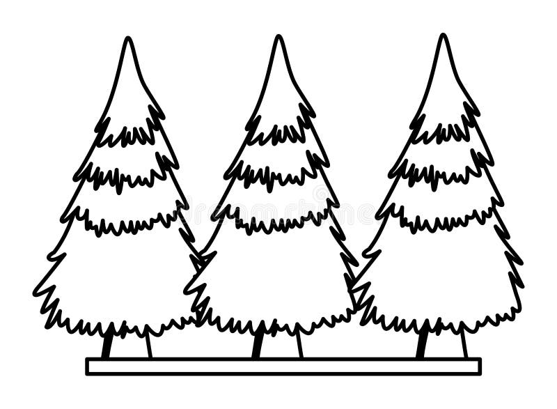 Trees pines on grass nature scenery in black and white royalty free illustration