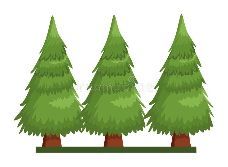 Trees pines on grass nature scenery royalty free illustration