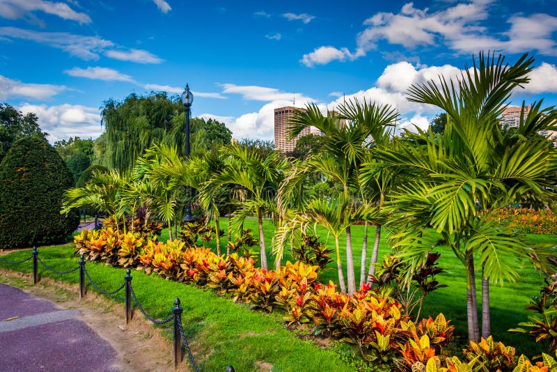 Trees and Plants Along a Path at the Public Garden in Boston, Ma Stock