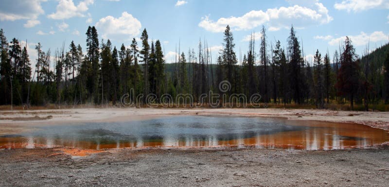 Trees reflecting in the Emerald Pool hot spring in the Black Sand Geyser Basin in Yellowstone National Park USA