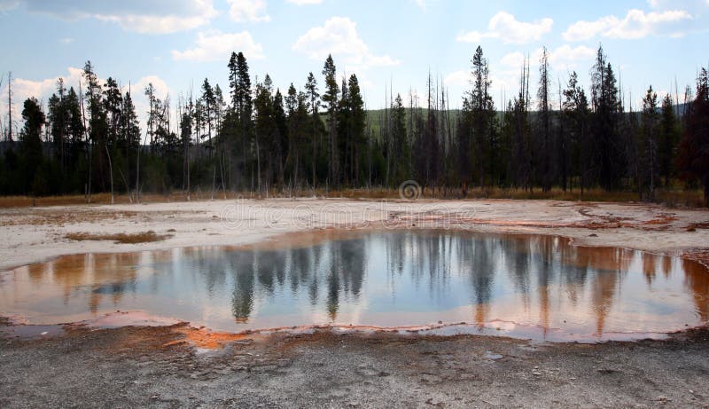 Trees reflecting in the Emerald Pool hot spring in the Black Sand Geyser Basin in Yellowstone National Park USA