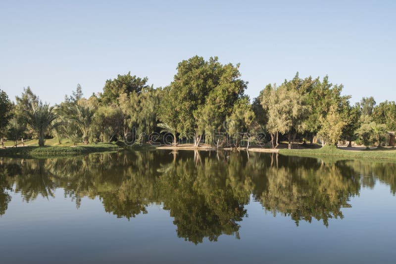 Trees reflecting in pond at a rural park