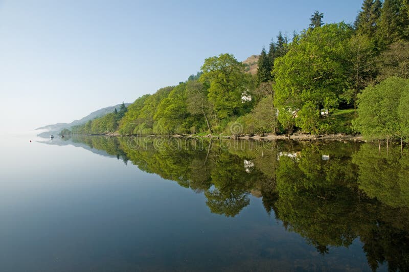 Trees,reflections of loch lomond