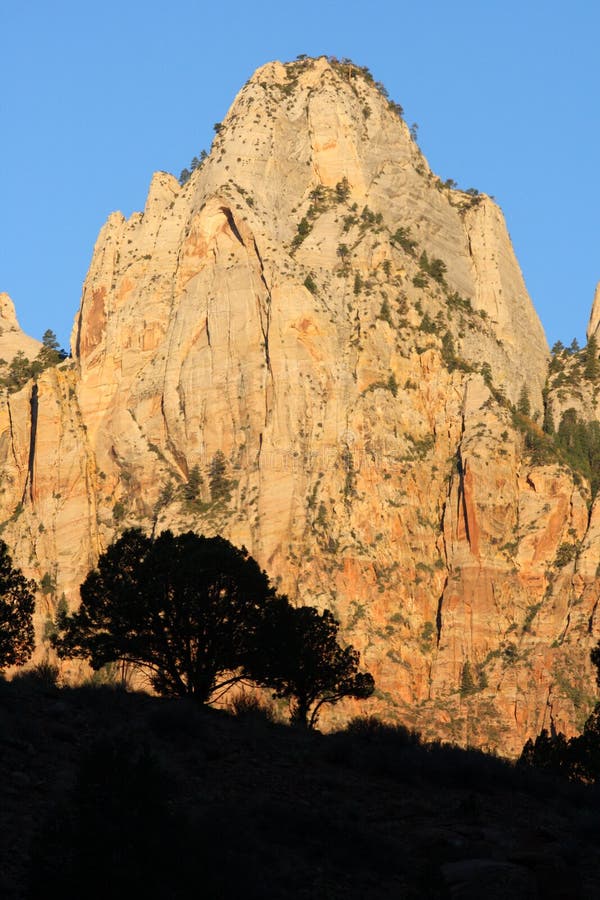 Trees and rock formation