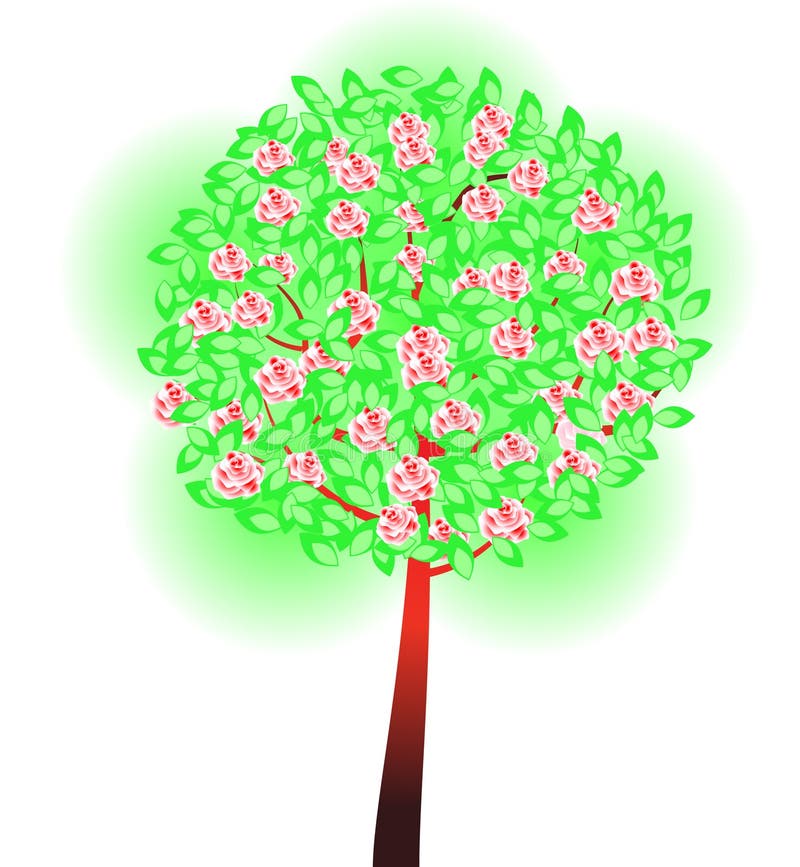 Trees with roses stock vector. Illustration of drawing 31037495