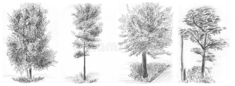 Trees stock illustration