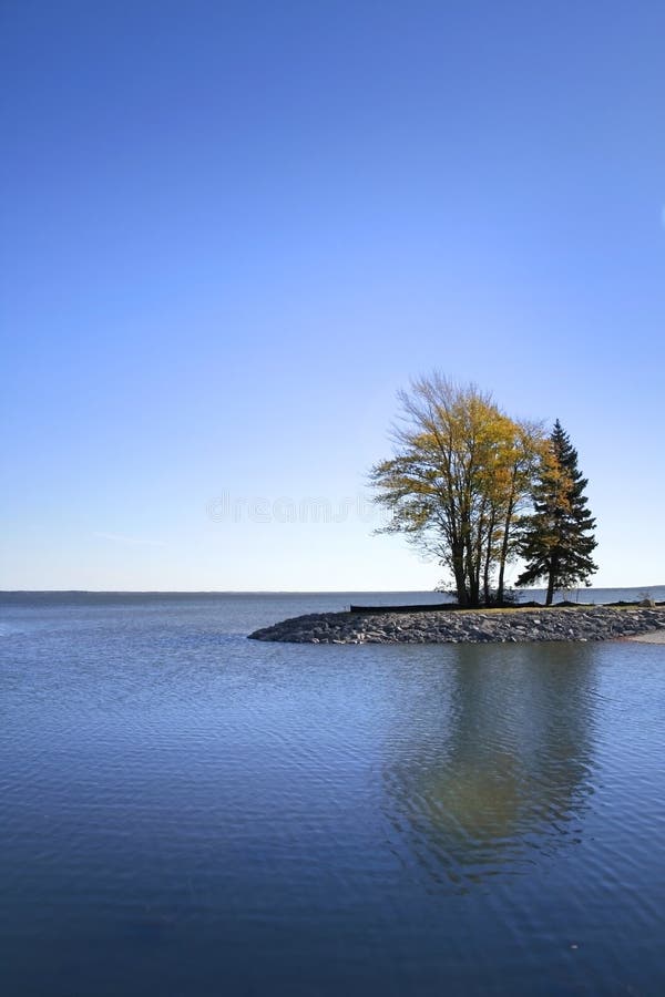 Trees On Small Island