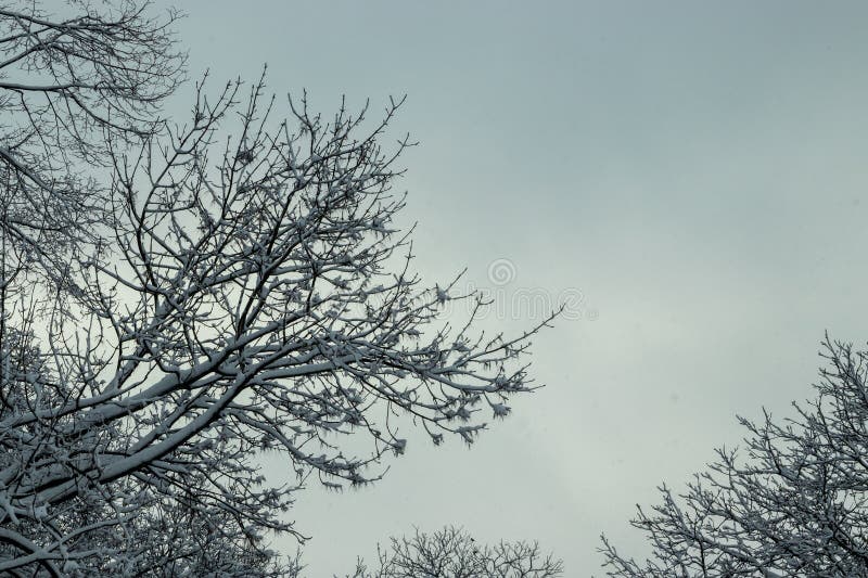 Solar Garden Lamp in Winter with White Snow. Solar Outdoor Lamp Stock