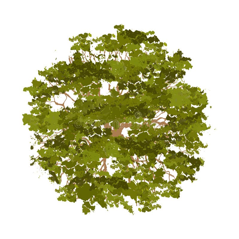 Trees Top View for Landscape Vector Illustration. Stock Vector ...