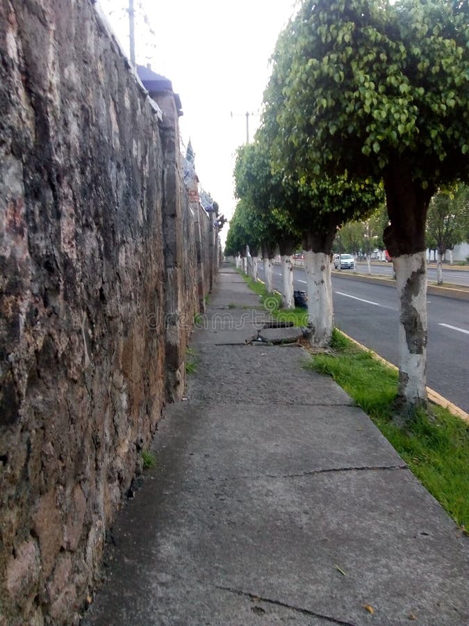 Trees and walls stock photo. Image of sidewalk, village 217563944
