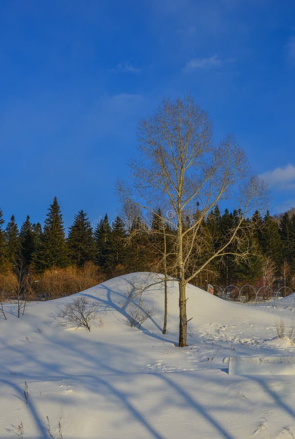 Winter scenery of Heilongjiang, China stock photography Winter scenery of Heilongjiang, China stock photography