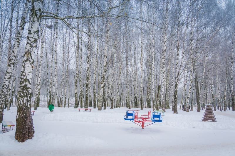 Schneebedeckt blattlos Bäume im, natürlich.