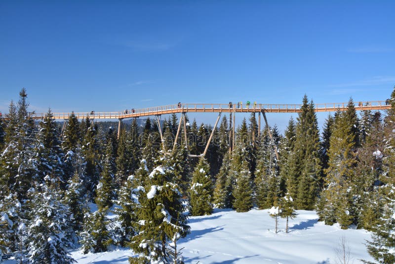 The treetop walk Bachledka in Bachledova valley in Slovakia