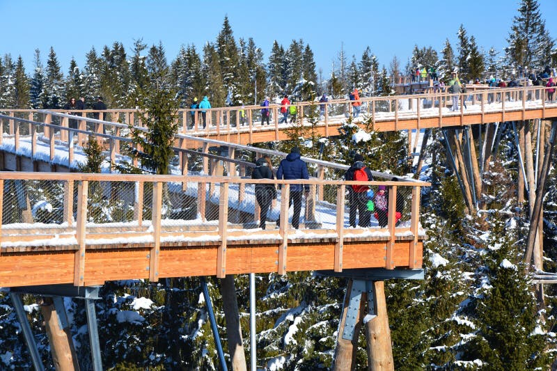 The treetop walk Bachledka in Bachledova valley in Slovakia.